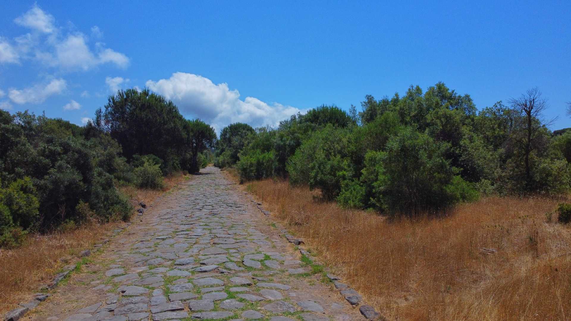 La Via Severiana a Ostia